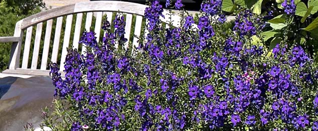 childBanner_right16